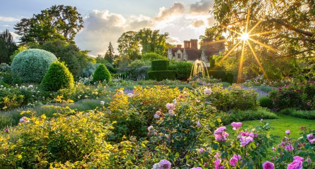 Jay Robins Rose Garden at Borde Hill Gardens, West Sussex